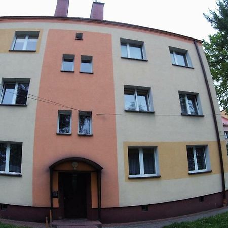 Studio Skarzyko Kamienna Leilighet Skarżysko-Kamienna Eksteriør bilde